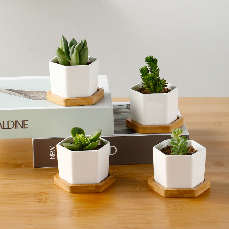 3D Printing Pot - Ceramic Flowerpot White Hexagon Ceramic Pot