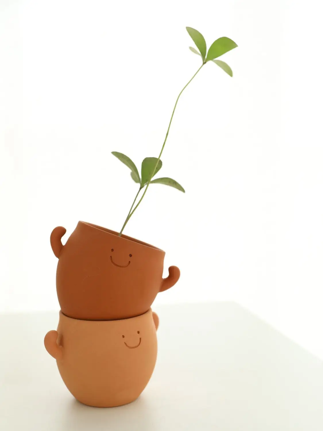 3D Printing Pot - Full of Power Lovely Potted Vase