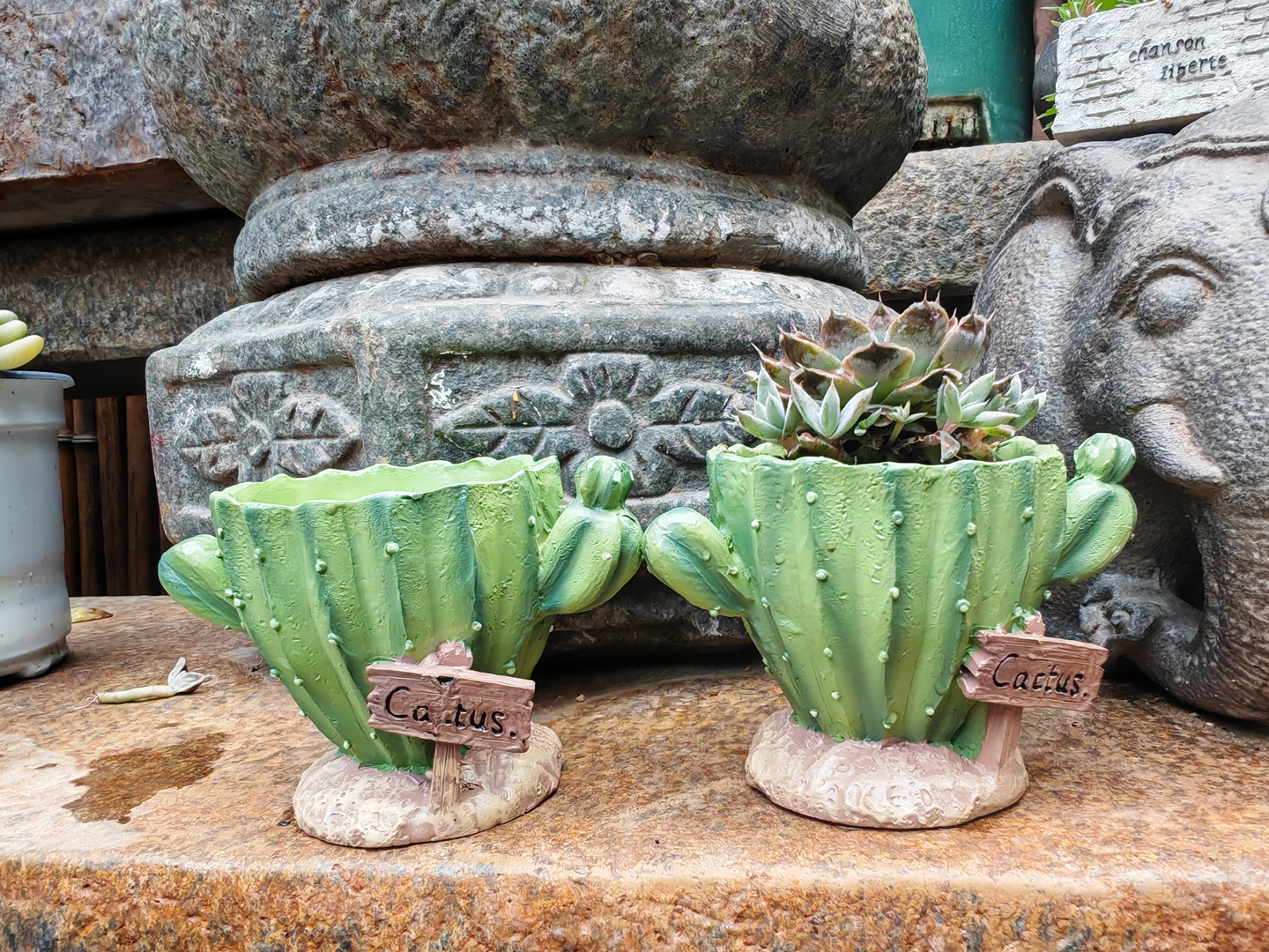Cactus Flower Planter Pot Cute - 3D Printing Pot avaliação e preço