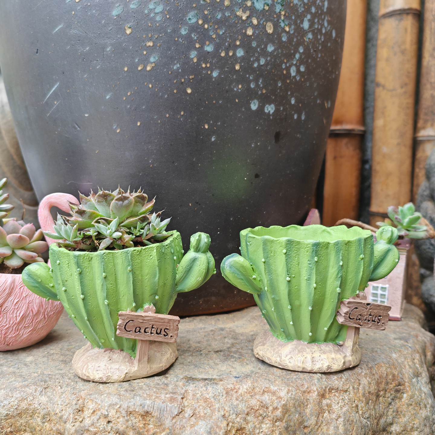 Cactus Flower Planter Pot Cute - 3D Printing Pot avaliação e preço