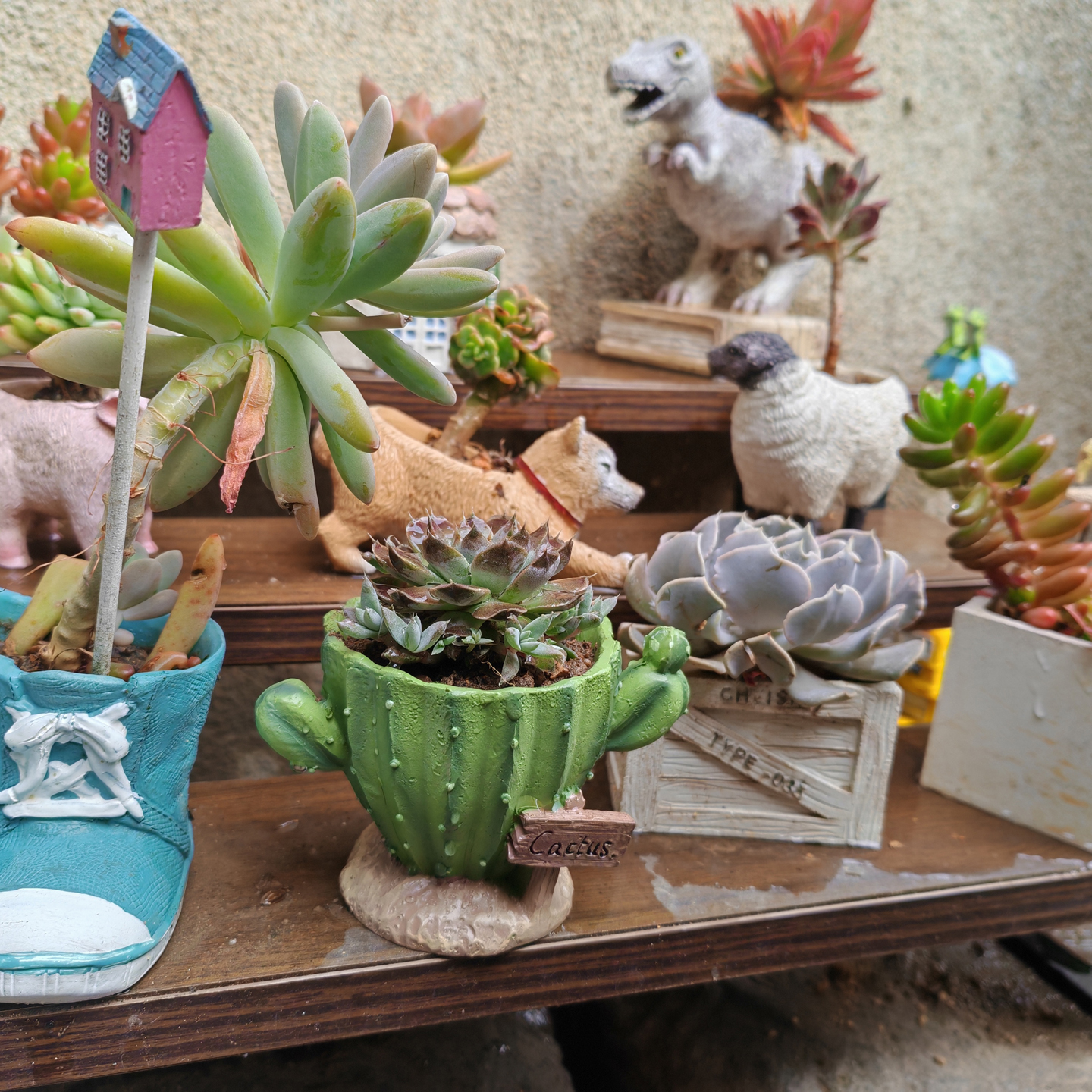 Cactus Flower Planter Pot Cute - 3D Printing Pot avaliação e preço