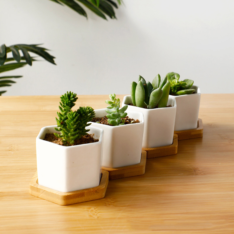 Ceramic Flowerpot White Hexago - 3D Printing Pot avaliação e preço