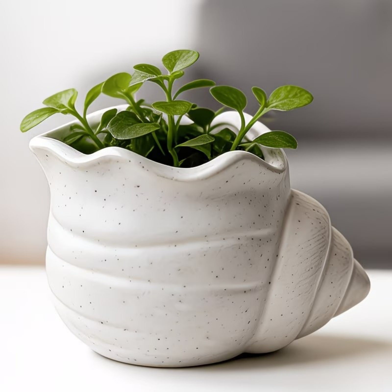 1 Pc 3D Printed Conch Flower P - 3D Printing Pot avaliação e preço