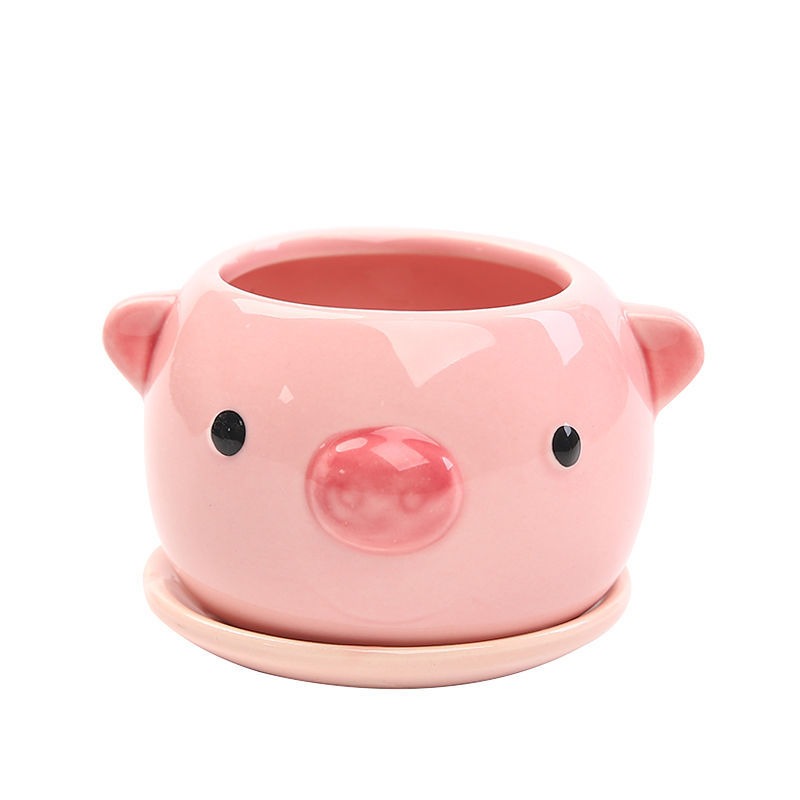 Succulent Cartoon Flowerpot Ce - 3D Printing Pot avaliação e preço