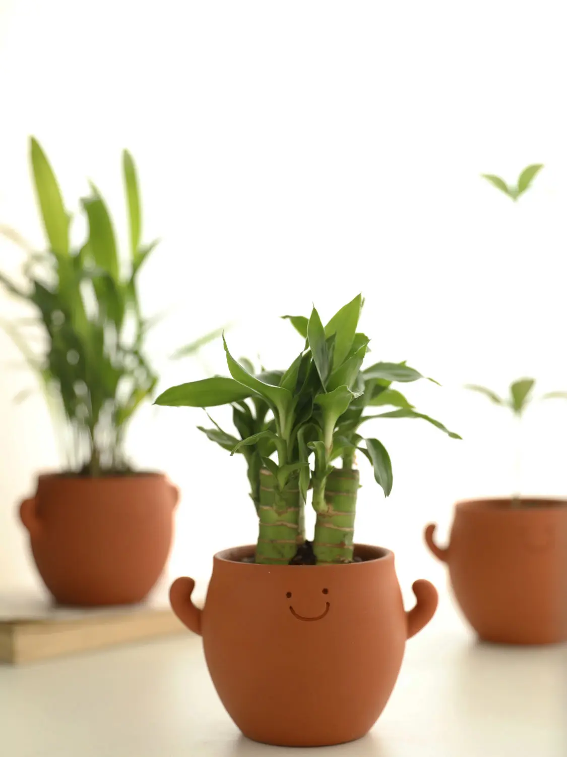 Full of Power Lovely Potted Va - 3D Printing Pot avaliação e preço