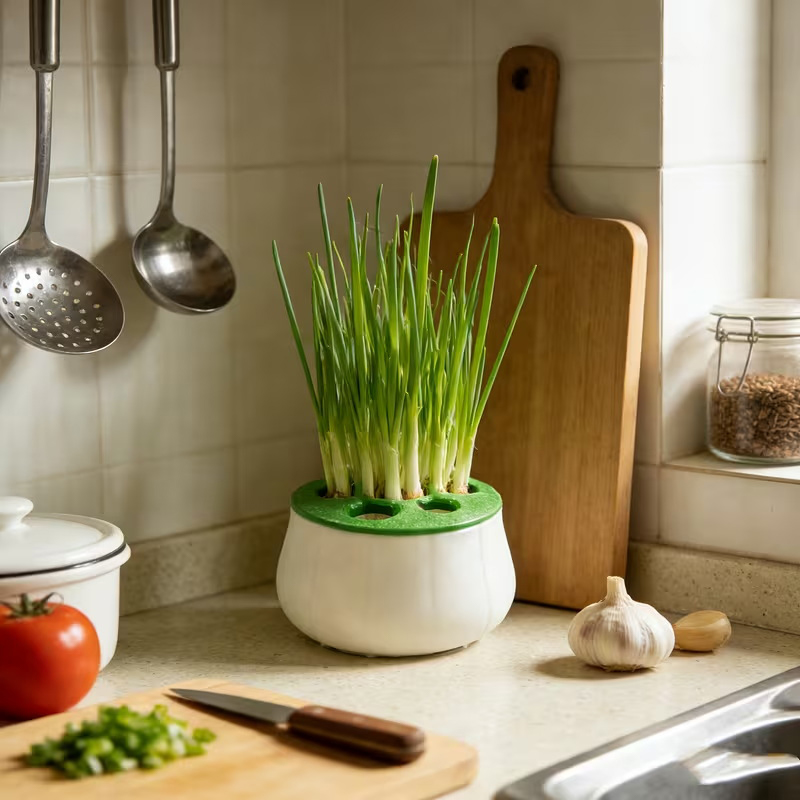 Green Onion Regeneration Plant - 3D Printing Pot avaliação e preço