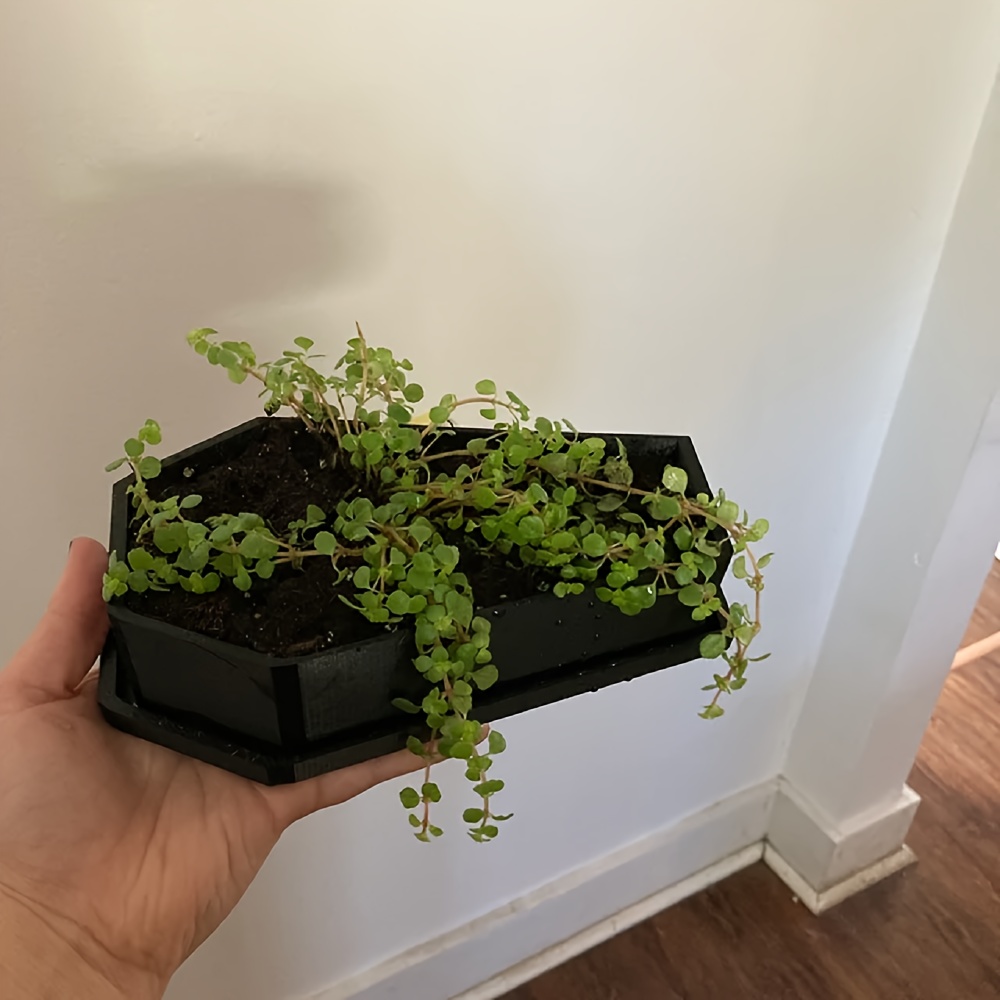 Coffin Planter | Coffin Plante - 3D Printing Pot avaliação e preço