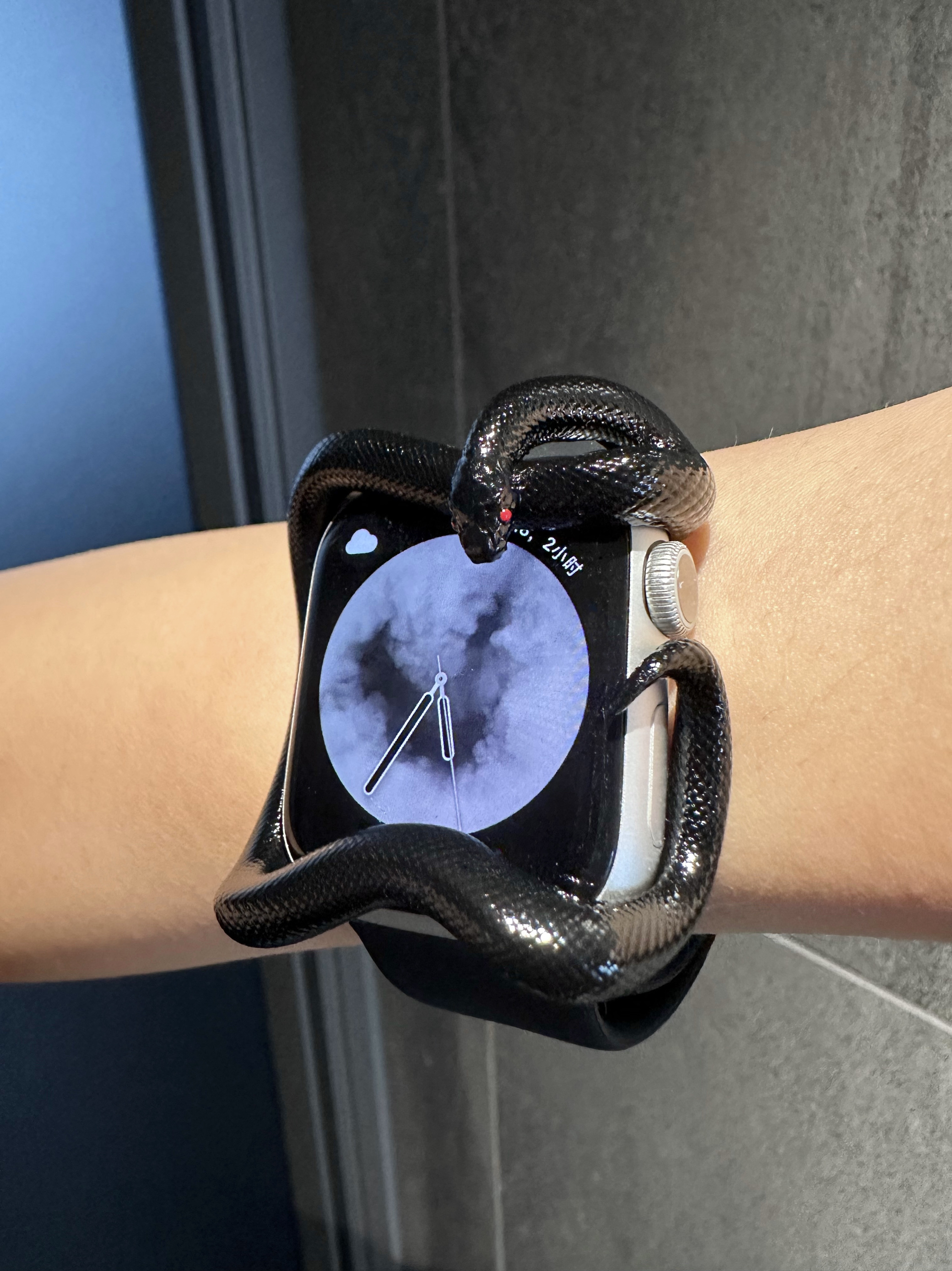 Snake Resin Material Watch Cas - 3D Printing Design Software avaliação e preço